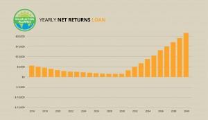 graph showing solar panel net return loans in arizona